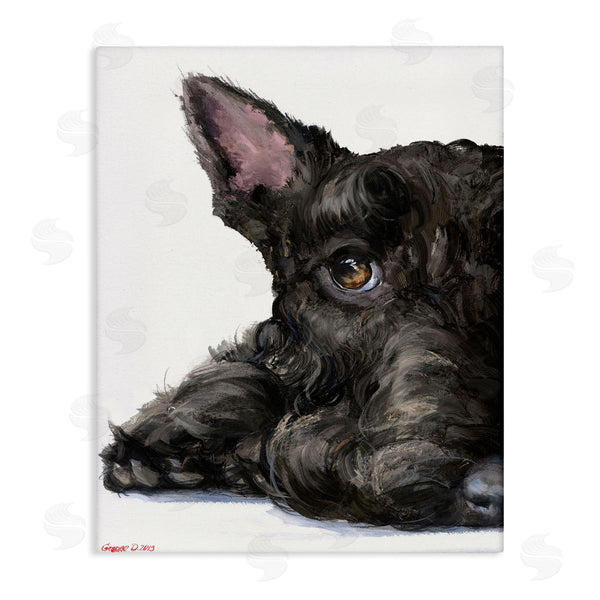 stupell industries George Dyachenko | Sleepy Scottish Terrier Portrait Adorable Pet Dog