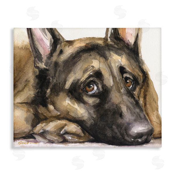 stupell industries George Dyachenko | Tired German Shepherd Dog Resting Head On Paw Wall Art