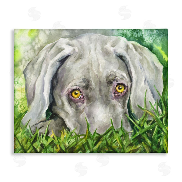 stupell industries George Dyachenko | Weimaraner Puppy Dog Resting In Green Grass