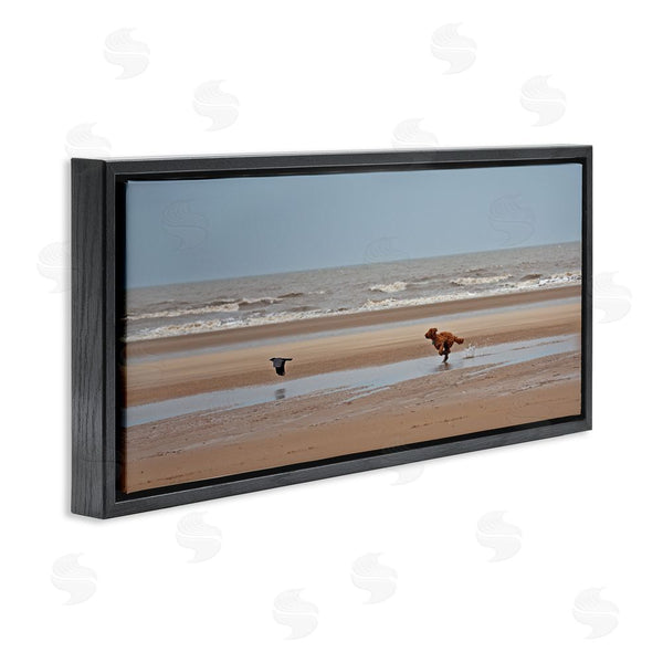 Stupell Industries Gill Woodcock | Dog Chasing Bird On Beach Wall Art