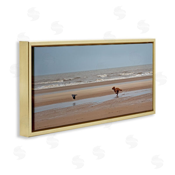 Stupell Industries Gill Woodcock | Dog Chasing Bird On Beach Wall Art
