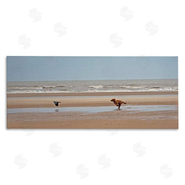 stupell industries Gill Woodcock | Dog Chasing Bird on Beach Wall Art