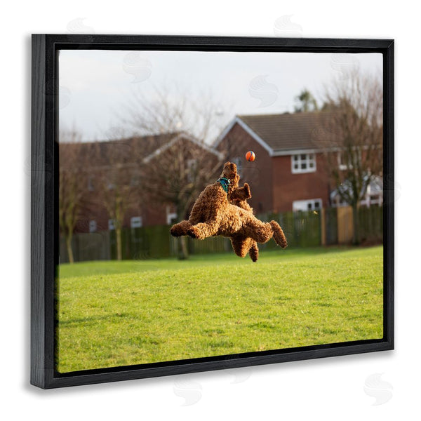 Stupell Industries Gill Woodcock | Eye On The Ball Dog Wall Art