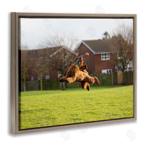 Stupell Industries Gill Woodcock | Eye On The Ball Dog Wall Art