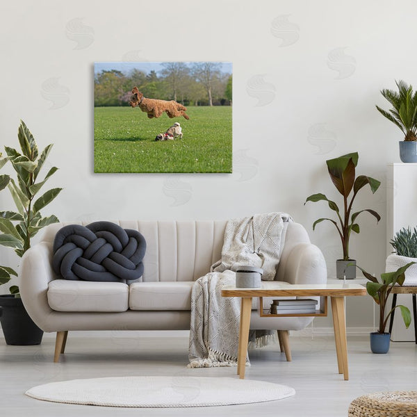 Stupell Industries Gill Woodcock | Jumping Dogs In Field Wall Art