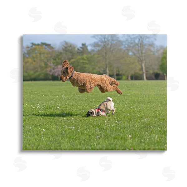 stupell industries Gill Woodcock | Jumping Dogs in Field Wall Art