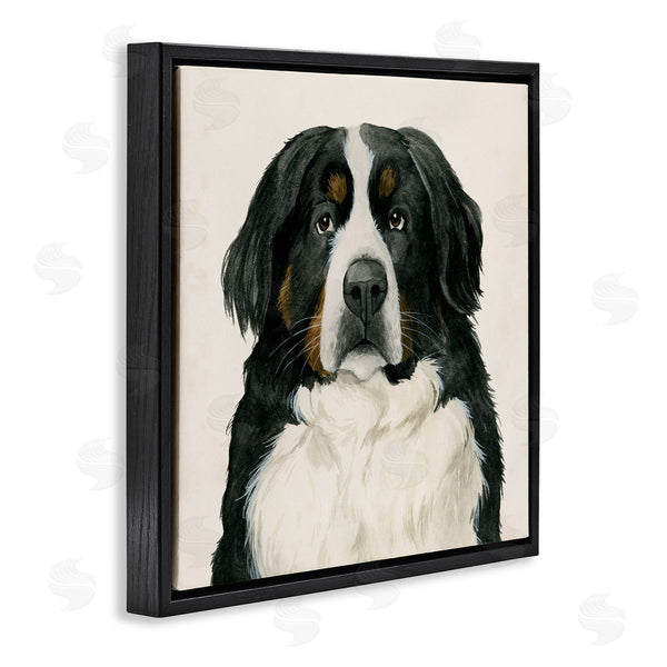 Stupell Industries Grace Popp | Bernese Mountain Dog Portrait
