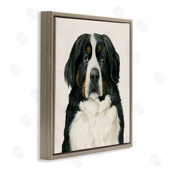 Stupell Industries Grace Popp | Bernese Mountain Dog Portrait