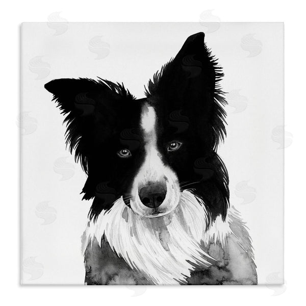 stupell industries Grace Popp | Border Collie Pet Dog Portrait Black White