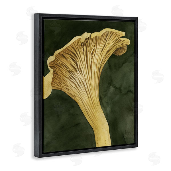 Stupell Industries Grace Popp | Chantarelle Mushroom Sprout