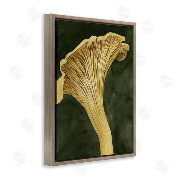 Stupell Industries Grace Popp | Chantarelle Mushroom Sprout