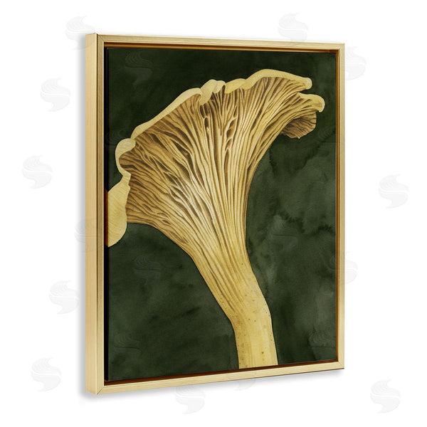 Stupell Industries Grace Popp | Chantarelle Mushroom Sprout
