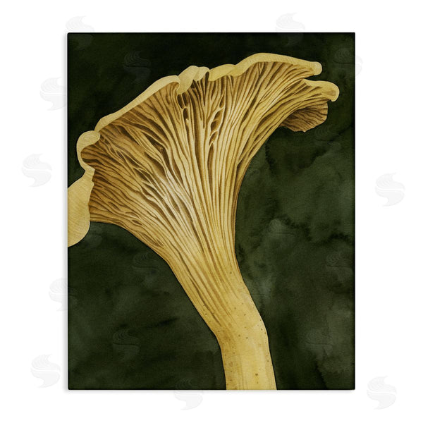 stupell industries Grace Popp | Chantarelle Mushroom Sprout