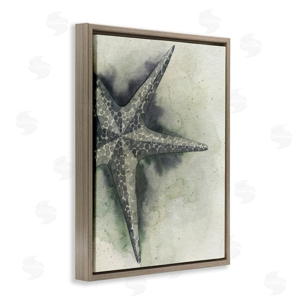 Stupell Industries Grace Popp | Complex Grey Starfish