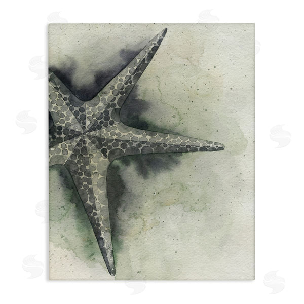 stupell industries Grace Popp | Complex Grey Starfish