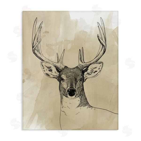 stupell industries Grace Popp | Deer Portrait Drawing Wall Art