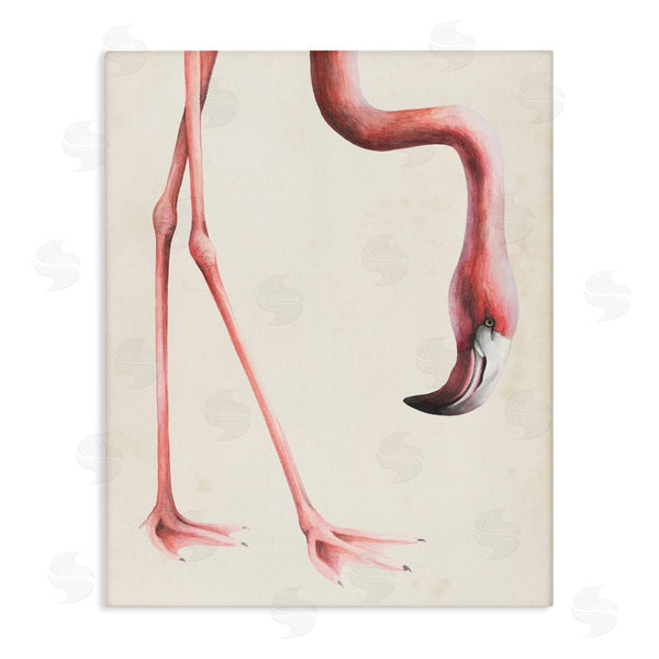 stupell industries Grace Popp | Flamingo Bending Feet Beak Detail