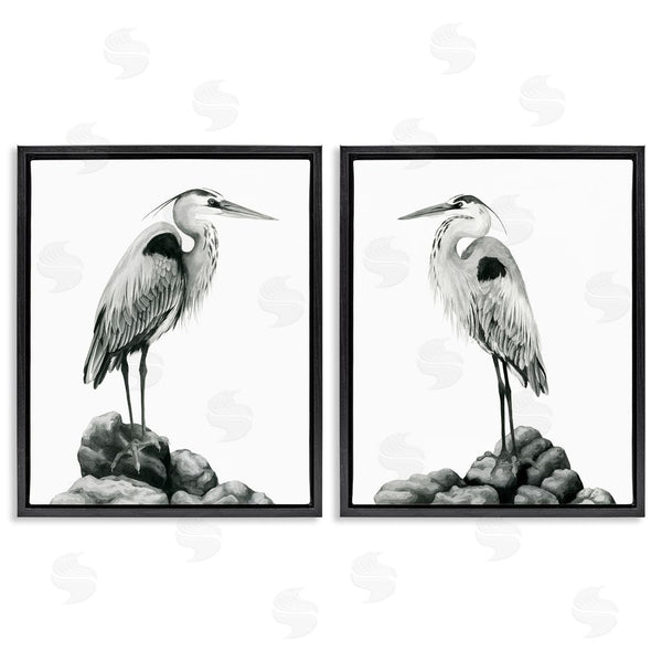Stupell Industries Grace Popp | Great Herons Standing Rocks Bird Portraits Wall Art