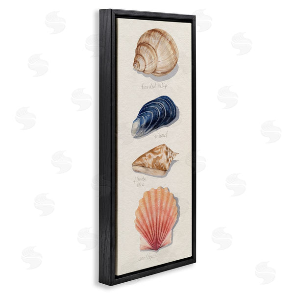 Stupell Industries Grace Popp | Ocean Life Sea Shells Soft Beige Sand Wall Art