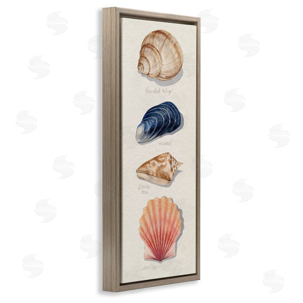 Stupell Industries Grace Popp | Ocean Life Sea Shells Soft Beige Sand Wall Art