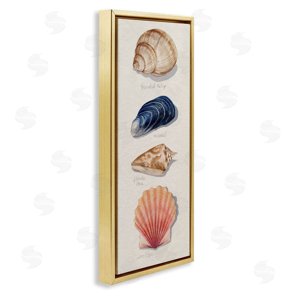 Stupell Industries Grace Popp | Ocean Life Sea Shells Soft Beige Sand Wall Art