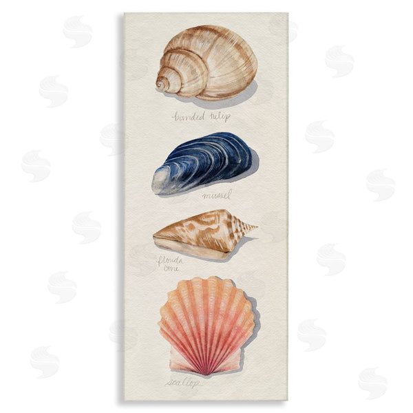 stupell industries Grace Popp | Ocean Life Sea Shells Soft Beige Sand Wall Art