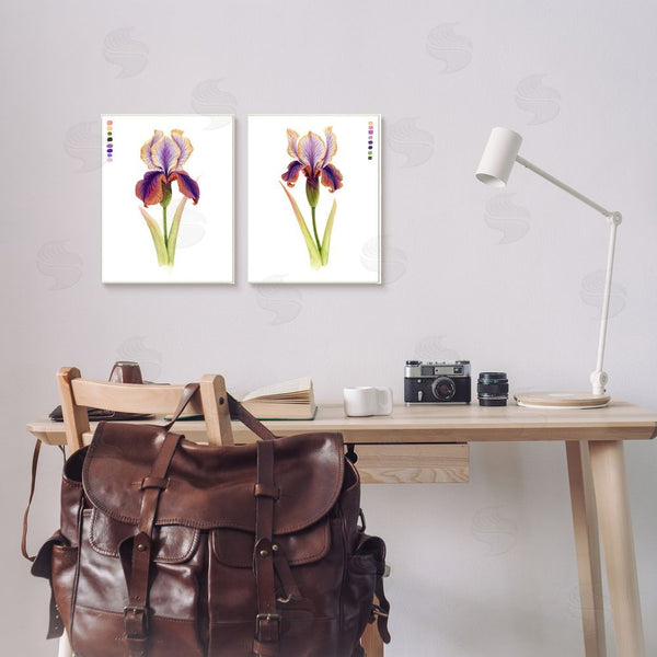 Stupell Industries Grace Popp | Orange Purple Iris With Color Key Wall Art