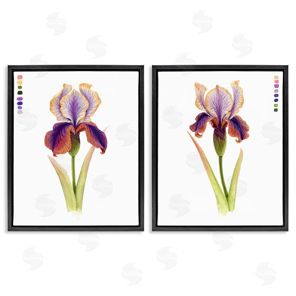 Stupell Industries Grace Popp | Orange Purple Iris With Color Key Wall Art