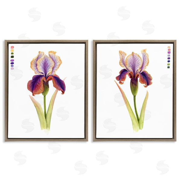 Stupell Industries Grace Popp | Orange Purple Iris With Color Key Wall Art