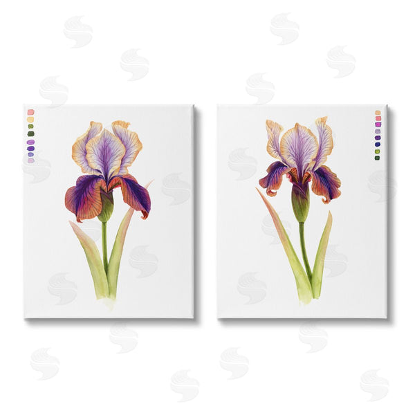 stupell industries Grace Popp | Orange Purple Iris with Color Key Wall Art