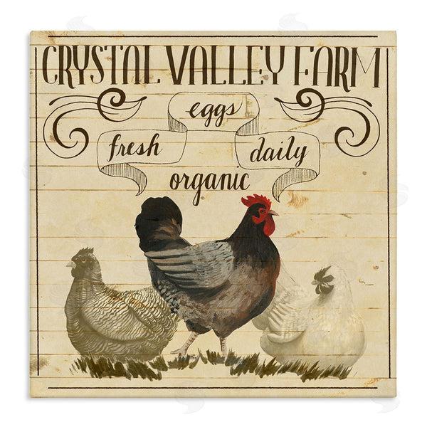 stupell industries Grace Popp | Organic Farm Eggs Vintage