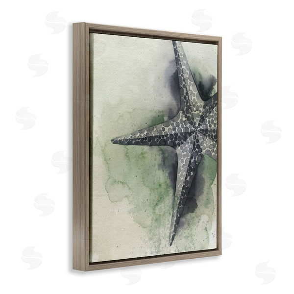 Stupell Industries Grace Popp | Spotted Grey Starfish