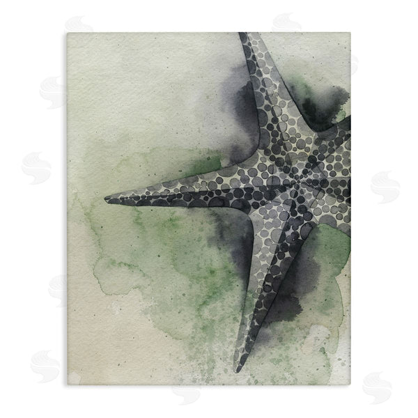 stupell industries Grace Popp | Spotted Grey Starfish