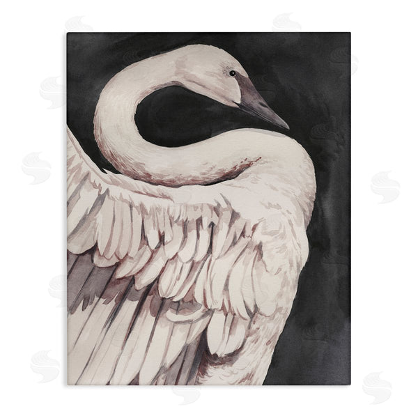 stupell industries Grace Popp | Swan Portrait on Grey