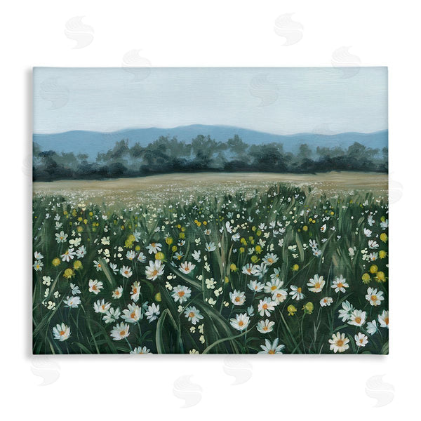 stupell industries Grace Popp | Traditional Daisy Meadow Wall Art