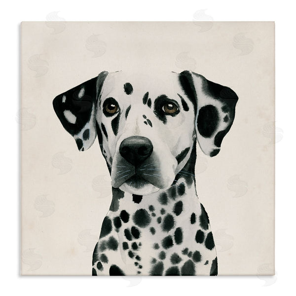 stupell industries Grace Popp | Traditional Dalmatian Portrait