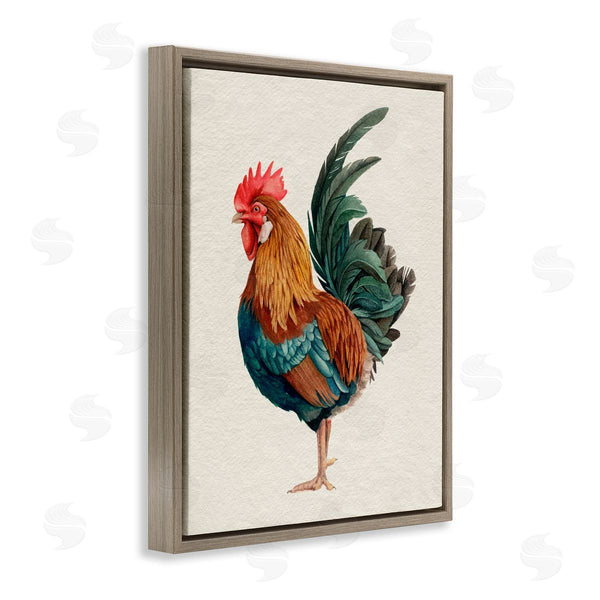Stupell Industries Grace Popp | Traditional Morning Rooster Illustration Elegant Bird Feathers Wall Art