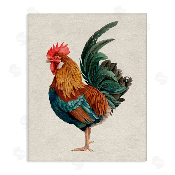 stupell industries Grace Popp | Traditional Morning Rooster Illustration Elegant Bird Feathers Wall Art
