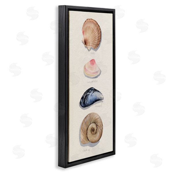 Stupell Industries Grace Popp | Traditional Nautical Sea Shells Wall Art