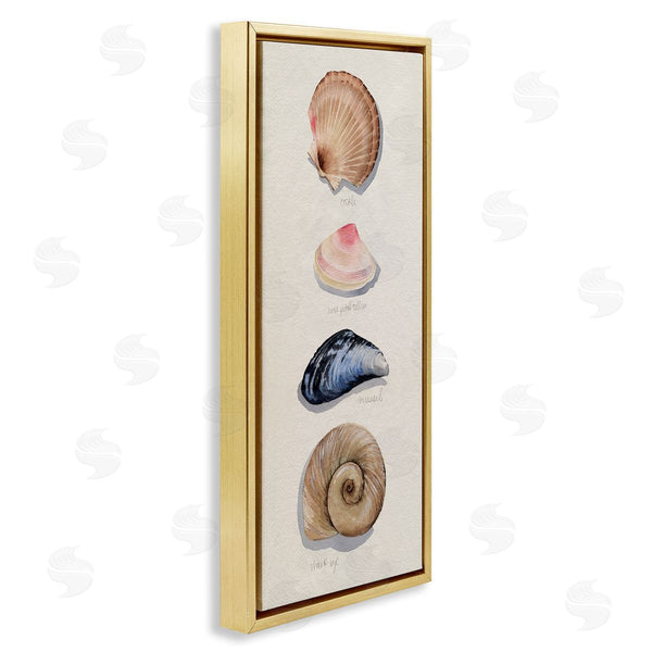 Stupell Industries Grace Popp | Traditional Nautical Sea Shells Wall Art