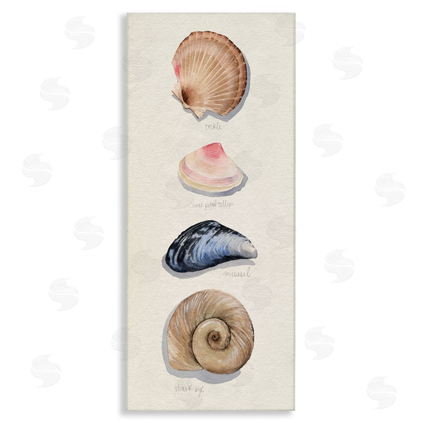 stupell industries Grace Popp | Traditional Nautical Sea Shells Wall Art