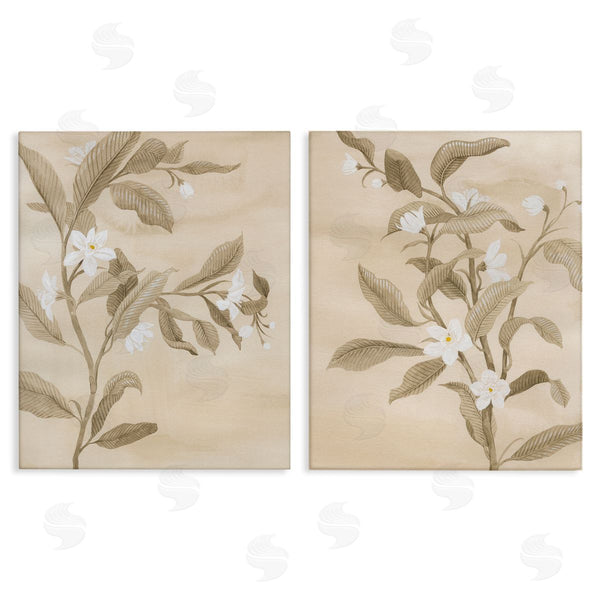 stupell industries Grace Popp | White Daffodils Budding