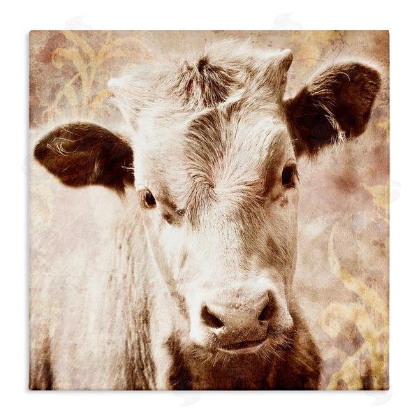 stupell industries Graffi*tee Studios | Abstract Sepia Cattle Wall Art