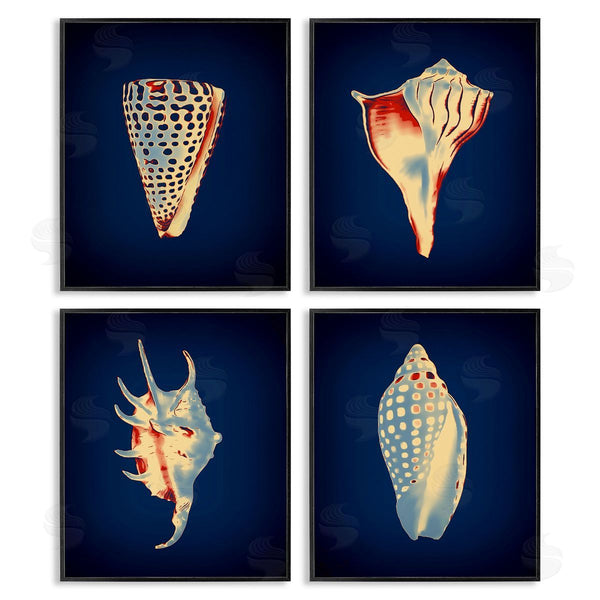 Stupell Industries Graffi*tee Studios | Bright Shells On Indigo Wall Art