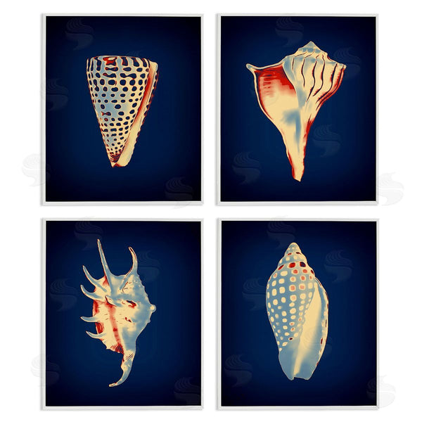 Stupell Industries Graffi*tee Studios | Bright Shells On Indigo Wall Art