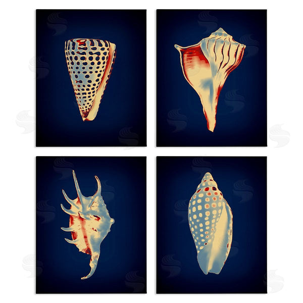 stupell industries Graffi*tee Studios | Bright Shells on Indigo Wall Art