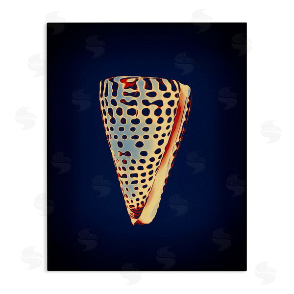 stupell industries Graffi*tee Studios | Cone Shell on Blue