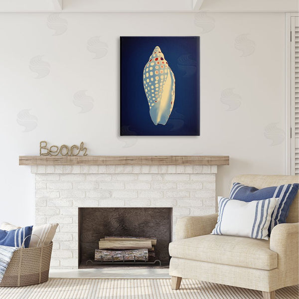 Stupell Industries Graffi*tee Studios | Contemporary Conch Shell Wall Art