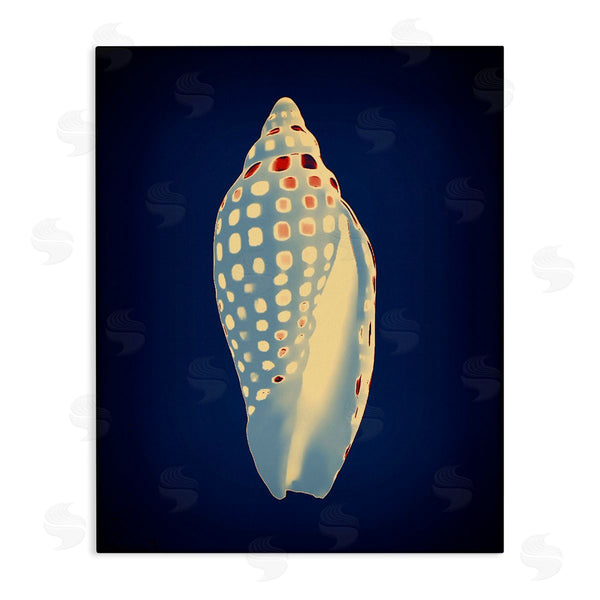 stupell industries Graffi*tee Studios | Contemporary Conch Shell Wall Art