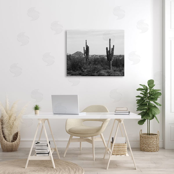 Stupell Industries Graffi*tee Studios | Desert Cactus Arid Vegetation Monochrome Nature Photography Wall Art